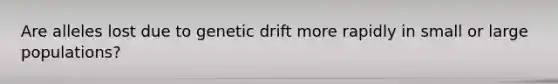 Are alleles lost due to genetic drift more rapidly in small or large populations?