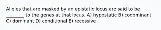 Alleles that are masked by an epistatic locus are said to be ________ to the genes at that locus. A) hypostatic B) codominant C) dominant D) conditional E) recessive