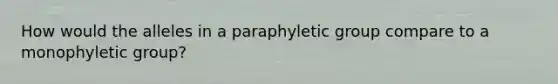 How would the alleles in a paraphyletic group compare to a monophyletic group?