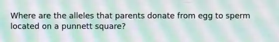 Where are the alleles that parents donate from egg to sperm located on a punnett square?