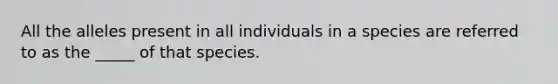 All the alleles present in all individuals in a species are referred to as the _____ of that species.