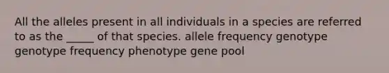 All the alleles present in all individuals in a species are referred to as the _____ of that species. allele frequency genotype genotype frequency phenotype gene pool