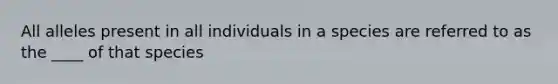 All alleles present in all individuals in a species are referred to as the ____ of that species