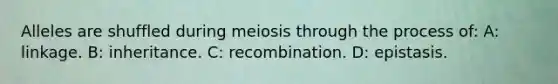 Alleles are shuffled during meiosis through the process of: A: linkage. B: inheritance. C: recombination. D: epistasis.