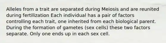 Alleles from a trait are separated during Meiosis and are reunited during fertilization Each individual has a pair of factors controlling each trait, one inherited from each biological parent. During the formation of gametes (sex cells) these two factors separate. Only one ends up in each sex cell.