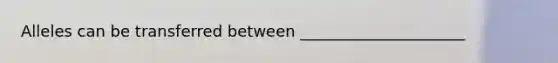 Alleles can be transferred between _____________________