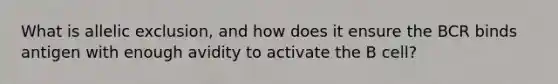 What is allelic exclusion, and how does it ensure the BCR binds antigen with enough avidity to activate the B cell?