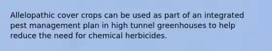 Allelopathic cover crops can be used as part of an integrated pest management plan in high tunnel greenhouses to help reduce the need for chemical herbicides.