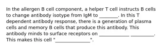 In the allergen B cell component, a helper T cell instructs B cells to change antibody isotype from IgM to ________. In this T dependent antibody response, there is a generation of plasma cells and memory B cells that produce this antibody. This antibody minds to surface receptors on _____________ __________. This makes this cell "_______________".