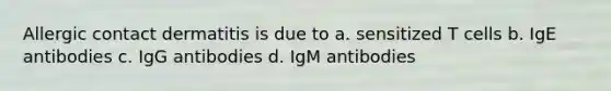 Allergic contact dermatitis is due to a. sensitized T cells b. IgE antibodies c. IgG antibodies d. IgM antibodies