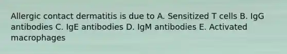 Allergic contact dermatitis is due to A. Sensitized T cells B. IgG antibodies C. IgE antibodies D. IgM antibodies E. Activated macrophages