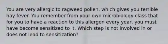 You are very allergic to ragweed pollen, which gives you terrible hay fever. You remember from your own microbiology class that for you to have a reaction to this allergen every year, you must have become sensitized to it. Which step is not involved in or does not lead to sensitization?