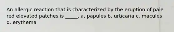 An allergic reaction that is characterized by the eruption of pale red elevated patches is _____. a. papules b. urticaria c. macules d. erythema