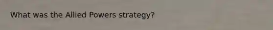 What was the Allied Powers strategy?