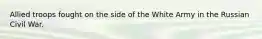 Allied troops fought on the side of the White Army in the Russian Civil War.