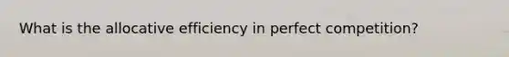 What is the allocative efficiency in perfect competition?