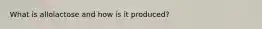 What is allolactose and how is it produced?