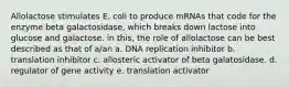 Allolactose stimulates E. coli to produce mRNAs that code for the enzyme beta galactosidase, which breaks down lactose into glucose and galactose. in this, the role of allolactose can be best described as that of a/an a. DNA replication inhibitor b. translation inhibitor c. allosteric activator of beta galatosidase. d. regulator of gene activity e. translation activator