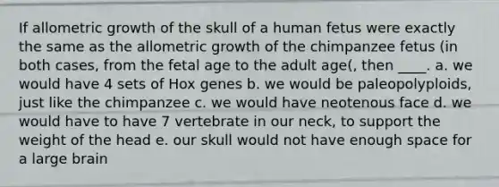 If allometric growth of the skull of a human fetus were exactly the same as the allometric growth of the chimpanzee fetus (in both cases, from the fetal age to the adult age(, then ____. a. we would have 4 sets of Hox genes b. we would be paleopolyploids, just like the chimpanzee c. we would have neotenous face d. we would have to have 7 vertebrate in our neck, to support the weight of the head e. our skull would not have enough space for a large brain