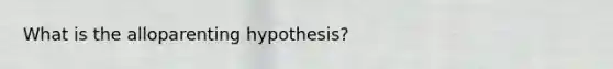 What is the alloparenting hypothesis?