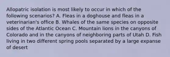 Allopatric isolation is most likely to occur in which of the following scenarios? A. Fleas in a doghouse and fleas in a veterinarian's office B. Whales of the same species on opposite sides of the Atlantic Ocean C. Mountain lions in the canyons of Colorado and in the canyons of neighboring parts of Utah D. Fish living in two different spring pools separated by a large expanse of desert