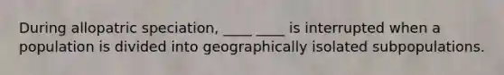 During allopatric speciation, ____ ____ is interrupted when a population is divided into geographically isolated subpopulations.