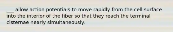___ allow action potentials to move rapidly from the cell surface into the interior of the fiber so that they reach the terminal cisternae nearly simultaneously.