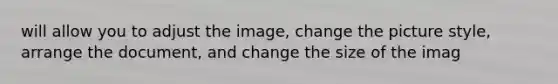will allow you to adjust the image, change the picture style, arrange the document, and change the size of the imag