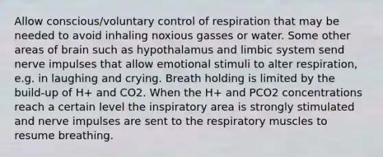 Allow conscious/voluntary control of respiration that may be needed to avoid inhaling noxious gasses or water. Some other areas of brain such as hypothalamus and limbic system send nerve impulses that allow emotional stimuli to alter respiration, e.g. in laughing and crying. Breath holding is limited by the build-up of H+ and CO2. When the H+ and PCO2 concentrations reach a certain level the inspiratory area is strongly stimulated and nerve impulses are sent to the respiratory muscles to resume breathing.