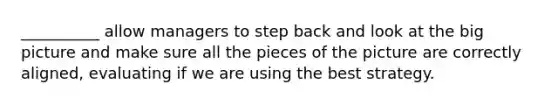 __________ allow managers to step back and look at the big picture and make sure all the pieces of the picture are correctly aligned, evaluating if we are using the best strategy.