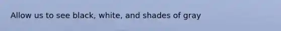 Allow us to see black, white, and shades of gray