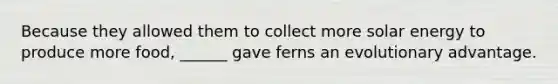 Because they allowed them to collect more solar energy to produce more food, ______ gave ferns an evolutionary advantage.