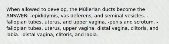 When allowed to develop, the Müllerian ducts become the ANSWER: -epididymis, vas deferens, and seminal vesicles. -fallopian tubes, uterus, and upper vagina. -penis and scrotum. -fallopian tubes, uterus, upper vagina, distal vagina, clitoris, and labia. -distal vagina, clitoris, and labia.