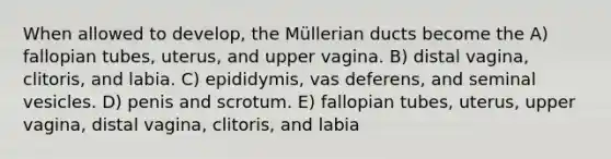 When allowed to develop, the Müllerian ducts become the A) fallopian tubes, uterus, and upper vagina. B) distal vagina, clitoris, and labia. C) epididymis, vas deferens, and seminal vesicles. D) penis and scrotum. E) fallopian tubes, uterus, upper vagina, distal vagina, clitoris, and labia