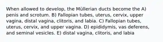 When allowed to develop, the Müllerian ducts become the A) penis and scrotum. B) Fallopian tubes, uterus, cervix, upper vagina, distal vagina, clitoris, and labia. C) Fallopian tubes, uterus, cervix, and upper vagina. D) epididymis, vas deferens, and seminal vesicles. E) distal vagina, clitoris, and labia