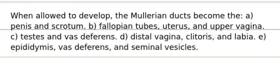 When allowed to develop, the Mullerian ducts become the: a) penis and scrotum. b) fallopian tubes, uterus, and upper vagina. c) testes and vas deferens. d) distal vagina, clitoris, and labia. e) epididymis, vas deferens, and seminal vesicles.