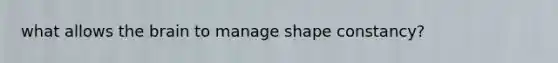 what allows the brain to manage shape constancy?