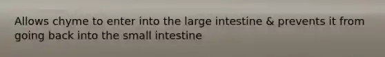 Allows chyme to enter into the large intestine & prevents it from going back into the small intestine