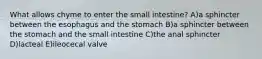 What allows chyme to enter the small intestine? A)a sphincter between the esophagus and the stomach B)a sphincter between the stomach and the small intestine C)the anal sphincter D)lacteal E)ileocecal valve