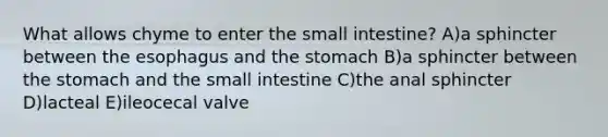 What allows chyme to enter the small intestine? A)a sphincter between the esophagus and the stomach B)a sphincter between the stomach and the small intestine C)the anal sphincter D)lacteal E)ileocecal valve