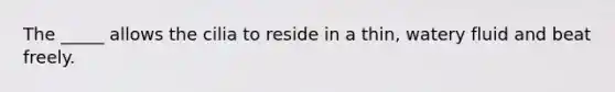 The _____ allows the cilia to reside in a thin, watery fluid and beat freely.