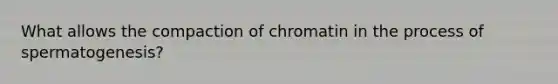 What allows the compaction of chromatin in the process of spermatogenesis?