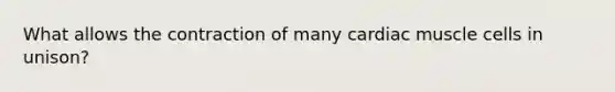 What allows the contraction of many cardiac muscle cells in unison?