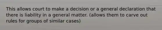 This allows court to make a decision or a general declaration that there is liability in a general matter. (allows them to carve out rules for groups of similar cases)