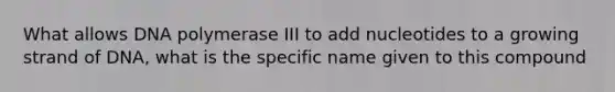 What allows DNA polymerase III to add nucleotides to a growing strand of DNA, what is the specific name given to this compound