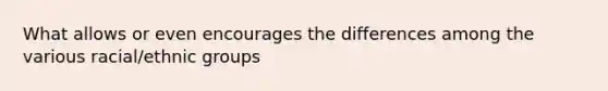 What allows or even encourages the differences among the various racial/ethnic groups