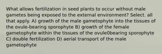 What allows fertilization in seed plants to occur without male gametes being exposed to the external environment? Select. all that apply. A) growth of the male gametophyte into the tissues of the ovule-bearing sporophyte B) growth of the female gametophyte within the tissues of the ovule0bearing sporophyte C) double fertilization D) aerial transport of the male gametophyte