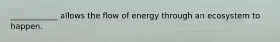 ____________ allows the flow of energy through an ecosystem to happen.