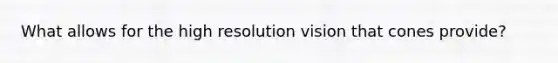 What allows for the high resolution vision that cones provide?