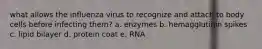 what allows the influenza virus to recognize and attach to body cells before infecting them? a. enzymes b. hemagglutinin spikes c. lipid bilayer d. protein coat e. RNA